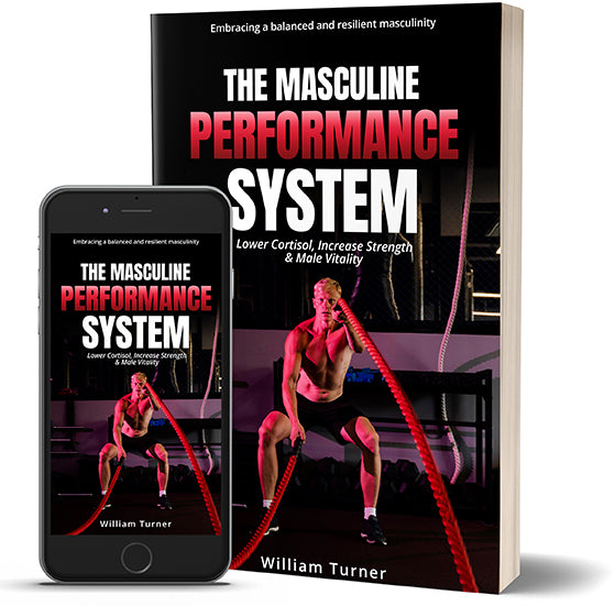 Recupere Força, Energia e Vitalidade Masculina com O Sistema de Desempenho Masculino (eBook PDF Grátis)